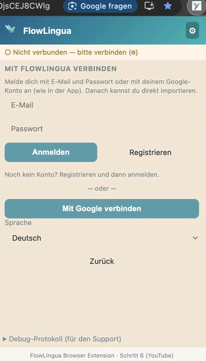 Anmelde-Fenster der Extension: Anmeldung mit E-Mail oder Google