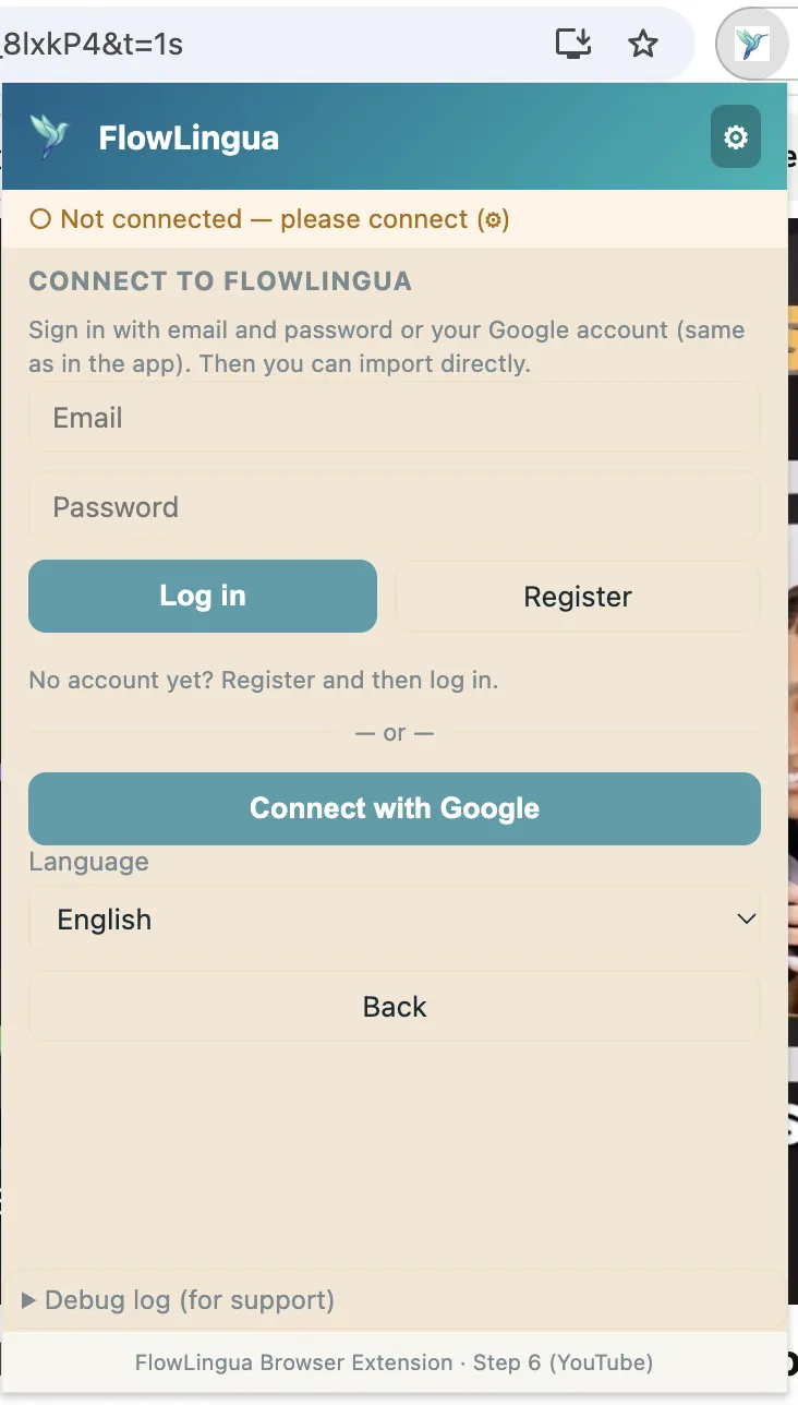Extension sign-in window: sign in with email or Google