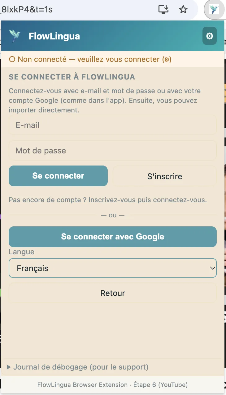 Fenêtre de connexion de l&rsquo;extension : accès par e-mail ou Google
